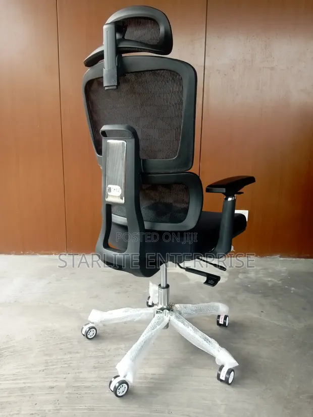 Executive Ergonomic Office Chair with Lumbar Support and Headrest - 1
