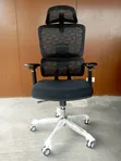 Executive Ergonomic Office Chair with Lumbar Support and Headrest - 2