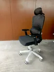 Executive Ergonomic Office Chair with Lumbar Support and Headrest - 3