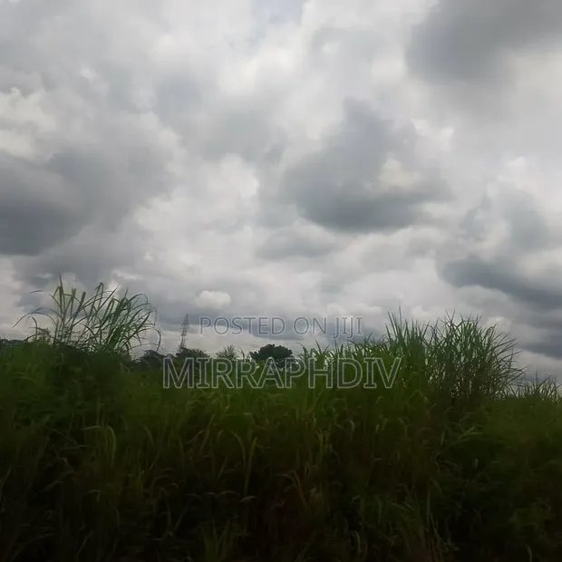 89 Plots of Land at Nkalagu Ebonyi Estate (44,500 sqm) - 1