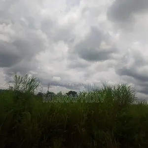 89 Plots of Land at Nkalagu Ebonyi Estate (44,500 sqm)