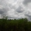 89 Plots of Land at Nkalagu Ebonyi Estate (44,500 sqm) - 1