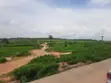 250sqm FCT Approved Estate Land for 4-Bedroom Semi-Detached Duplex - 1