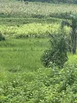 250sqm FCT Approved Estate Land for 4-Bedroom Semi-Detached Duplex - 5