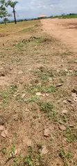 250sqm Residential Land for Sale in Sherriti District, Abuja - 2