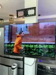 55" Panasonic Smart LED TV (Made in Europe) - 1