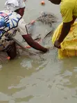 Catfish (Live/Smoked) - D-Levites Concepts - 3