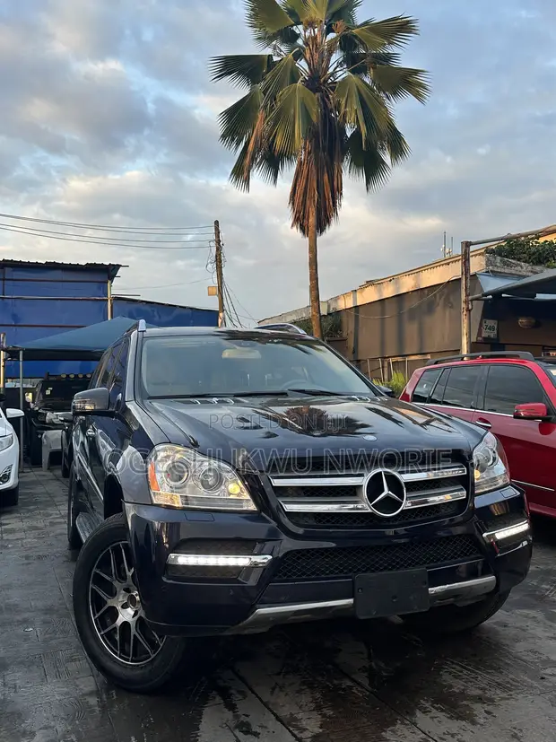 2010 Mercedes-Benz GL-Class GL 450 Blue - 1