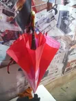 Cup Long Umbrella - Red - 2