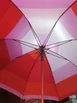 Cup Long Umbrella - Red - 4