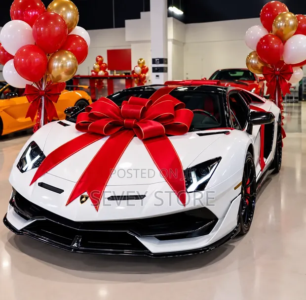 Lamborghini Ribbon Decoration - 1
