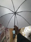 Boltle Umbrella - Brand New - 4