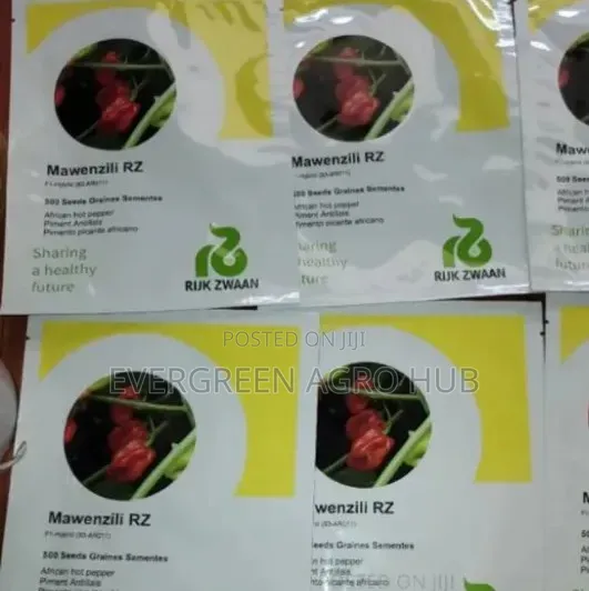 Mawenzili RZ Hot Pepper Seeds - 500 Seeds - 1