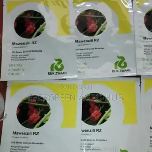 Mawenzili RZ Hot Pepper Seeds - 500 Seeds