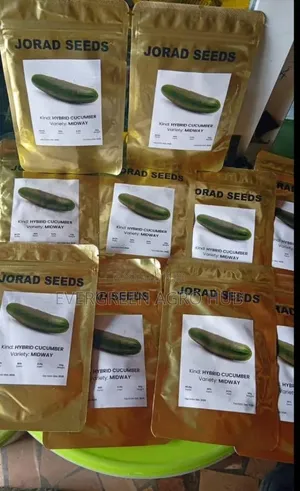 Jorad Cucumber Seed 50g