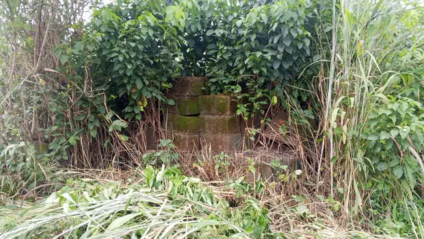 1000 Acres Farmland for Sale in Lanlate - 1