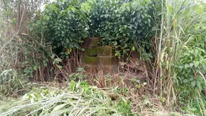 1000 Acres Farmland for Sale in Lanlate
