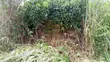 1000 Acres Farmland for Sale in Lanlate - 1