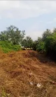 1000 Acres Farmland for Sale in Lanlate - 2
