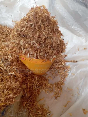 Premium Oron Crayfish (600g)