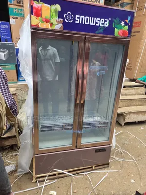 Snowsea Double-Door Showcase Freezer - Brand New