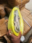 Ratchet Belt, 10 Ton Container - 1