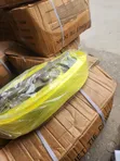 10 Ton x 10 Meter Container Belt - Heavy Duty with Warranty - 1