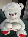 Ultra-Soft White Teddy Bear with "Love You" Heart Pillow - 4
