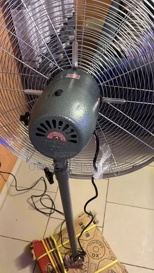 Ox Double Head Fan - Largest Size