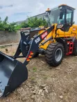 Brand New Caterpillar Payloader 5 Ton - 4