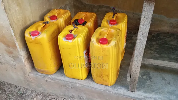 Premium Quality Palm Oil - 1