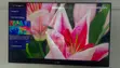 Thomson 43-Inch 4K UHD Smart TV (Amfani) - 2