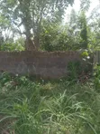 One Plot of Land for Sale, Ijigba, Oda Road, Akure - 1