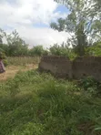 One Plot of Land for Sale, Ijigba, Oda Road, Akure - 2