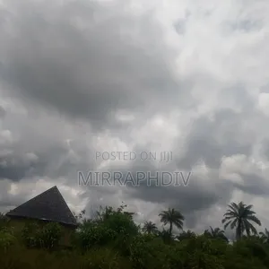 100,000 SQM Commercial/Industrial Land, Abakaliki Express Road, Enugu