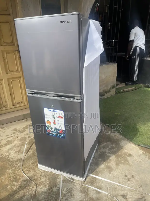 Skyrun BCD-195HS Double-Door Refrigerator - 1