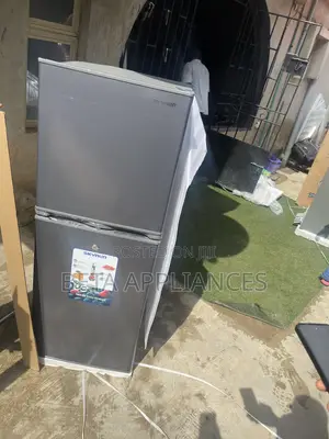 Skyrun BCD-195HS Double-Door Refrigerator