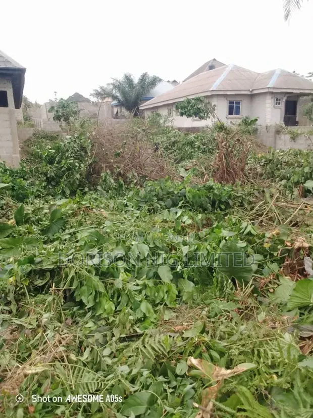 Half Plot Land with 3-Bedroom Foundation for Sale in Ikorodu - 1
