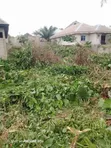 Half Plot Land with 3-Bedroom Foundation for Sale in Ikorodu - 1