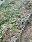 Half Plot Land with 3-Bedroom Foundation for Sale in Ikorodu - 2