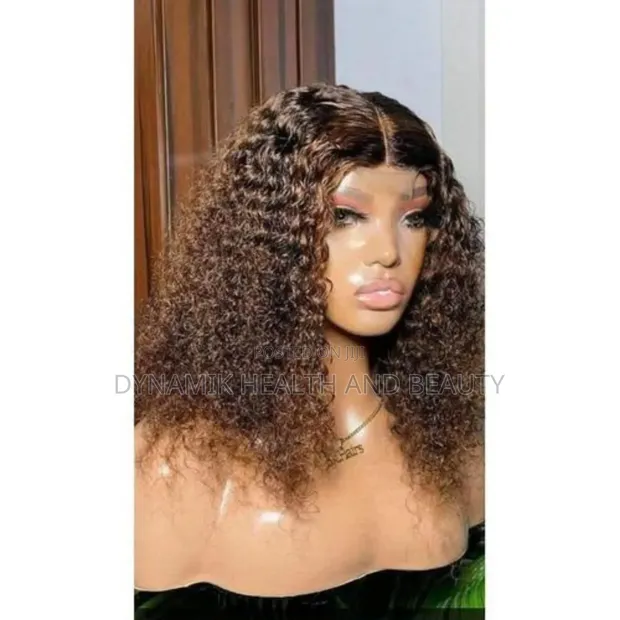 Premium Human Hair Wigs - Retail & Wholesale - 1