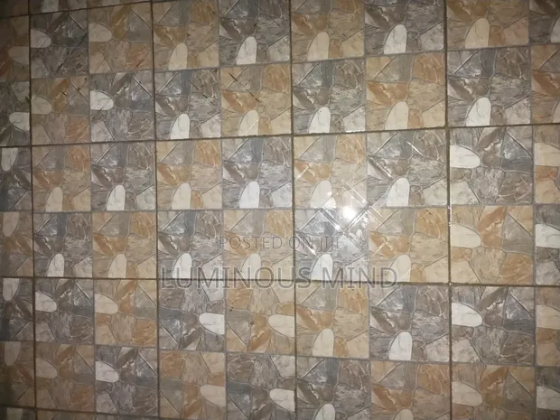 Professional Tiles Scrubbing Services - 1