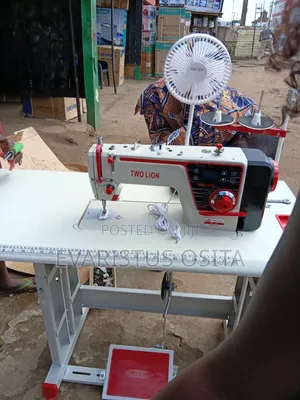 Two Lion Direct Drive Industrial Sewing Machine