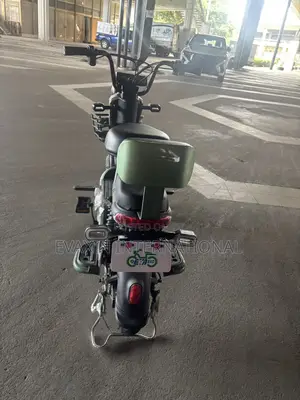 New Electric Bicycle 2025 Green