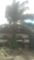 5-Bedroom Duplex with BQ and Flats for Sale in Oshimili North - 5