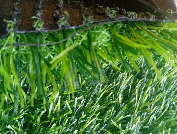 Synthetic Quality Grass Carpet 35mm - 1