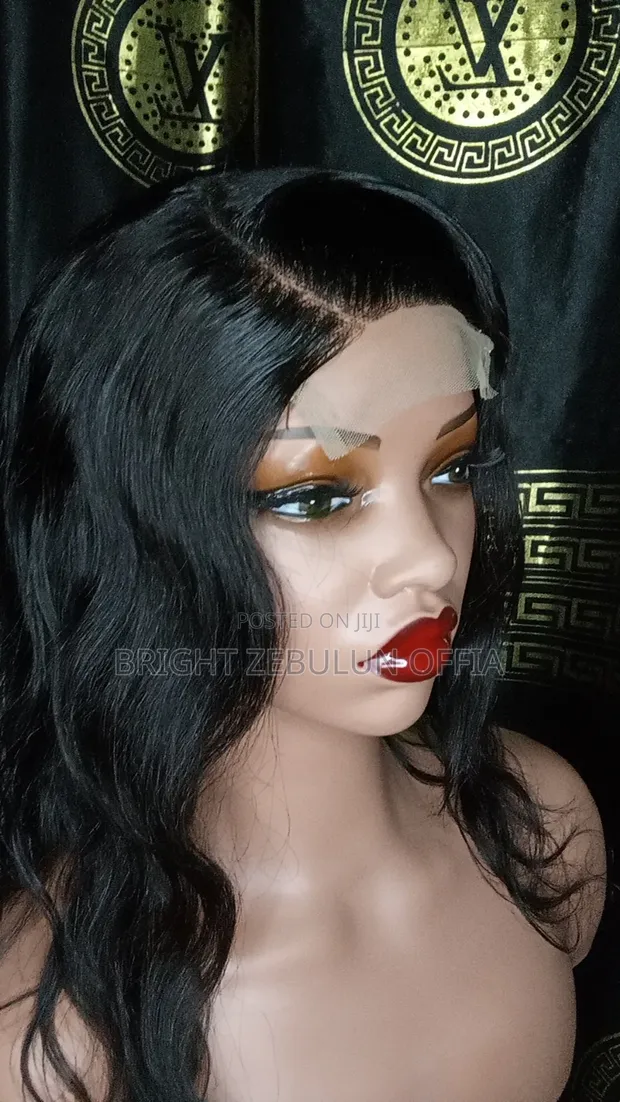 Luxurious 100% Human Hair Wig - 1