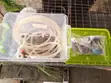 Automatic Rabbit Drinking & Feeding Accessories Set - 4