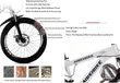 20-22 Inch Mountain Bicycle - Brand New - 2