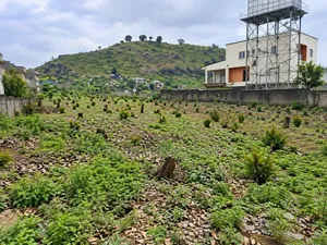 3,600sqm Residential Land for Sale in Katampe Main, Abuja | C of O